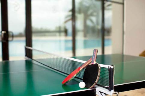 GODREJ ANANDA Amenities - Indoor Games