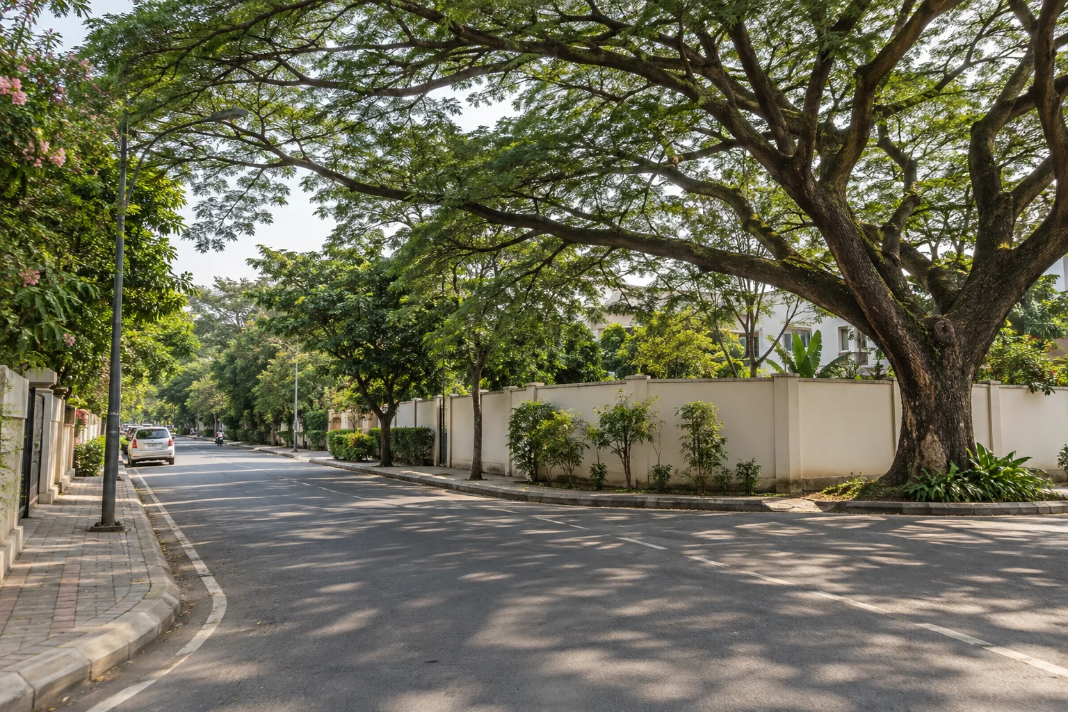Illustrative suburban junction with a distinctive large tree
